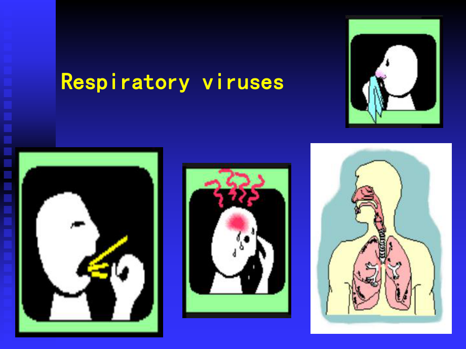 医学微生物学课件.ppt_第1页