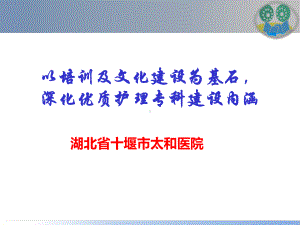 医院管理案例：以培训及文化建设为基石深化优质护理专科建设内涵课件.pptx