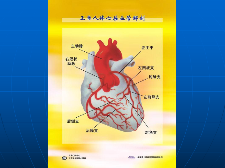 内科学-冠状动脉粥样硬化心脏病课件.ppt_第3页