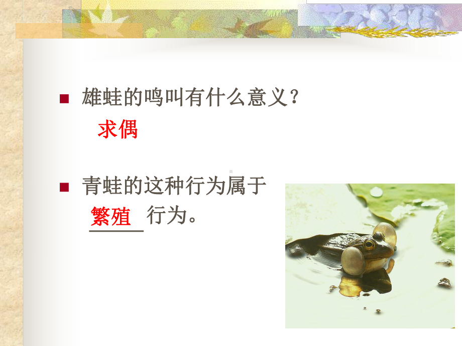 受精卵在母体的子宫内发育课件.ppt_第2页