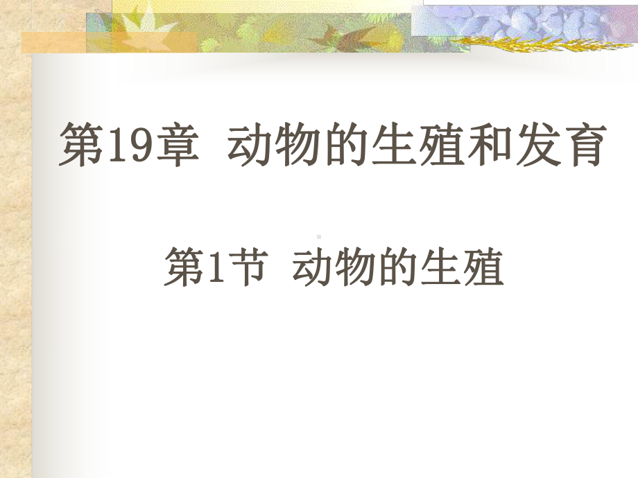 受精卵在母体的子宫内发育课件.ppt_第3页