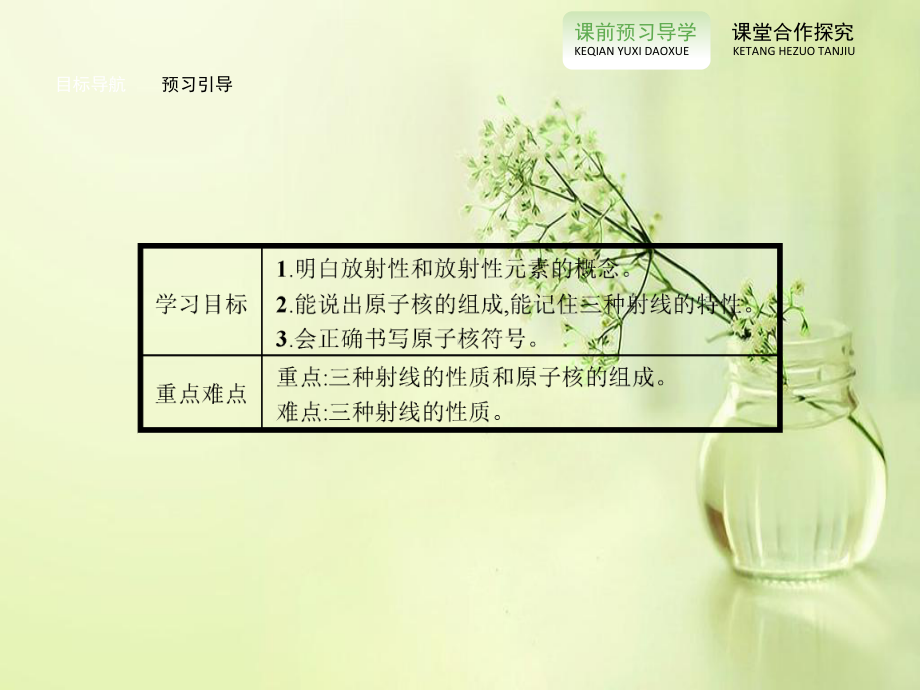 原子核的组成PPT教学课件.ppt_第3页