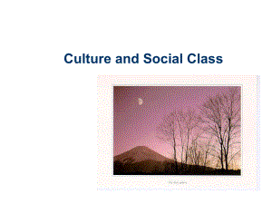 台大消费者行为cb-11-culture-and-social-class课件.ppt