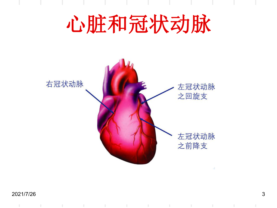 冠心病科普课件.ppt_第3页