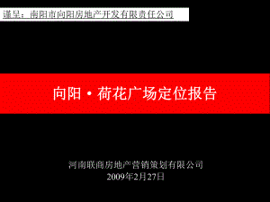 南阳市向阳荷花广场定位报告课件.ppt