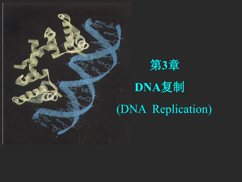 分子生物学之DNA复制课件.ppt_第1页