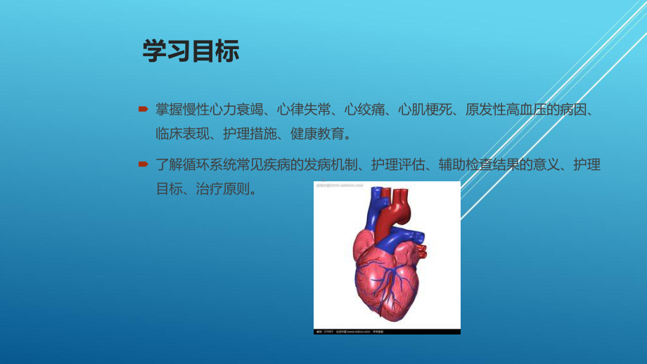 内科护理学第二章-160课件.pptx_第2页