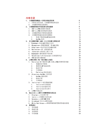 小核酸药物技术发展趋势及主要企业情况分析(4)-主要厂商课件.pptx