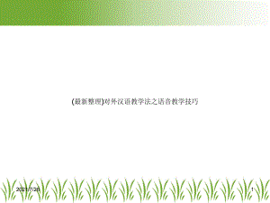 对外汉语教学法之语音教学技巧课件.ppt