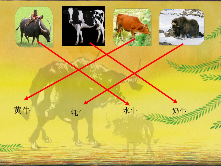 大牛和小牛-完整版PPT课件.ppt_第3页