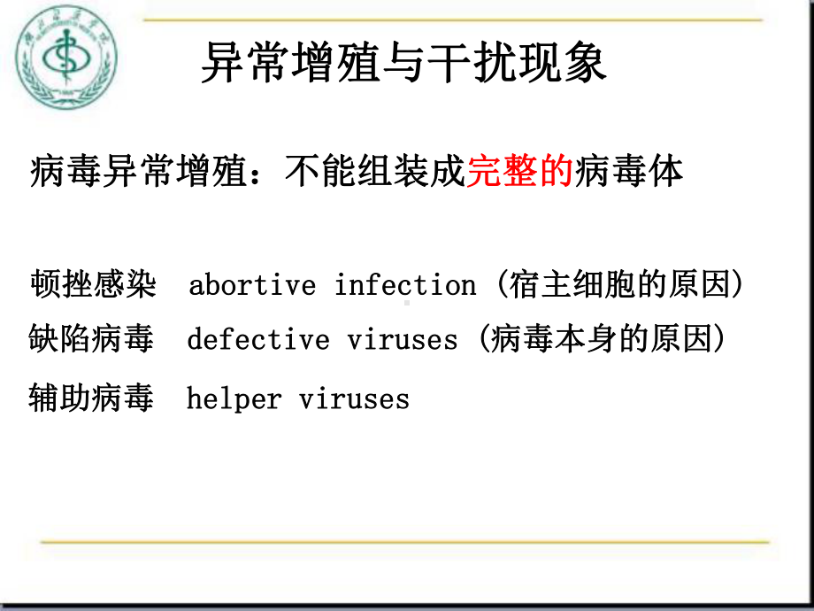 四体病毒学总论课件.ppt_第1页