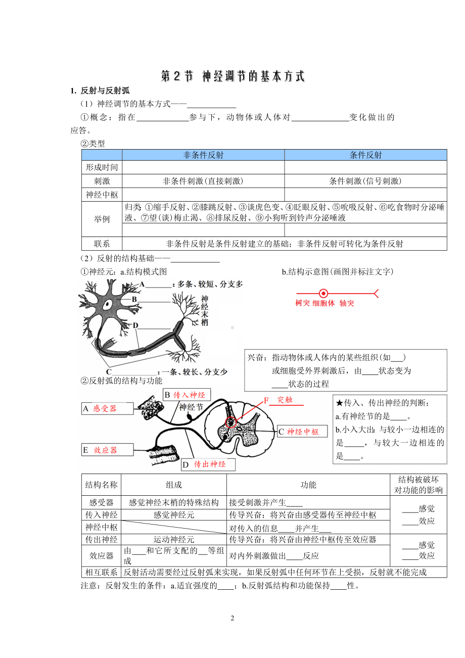 （新教材人教2019版）高中生物选择性必修1全册必背知识点（填空版+背诵版）.docx_第2页