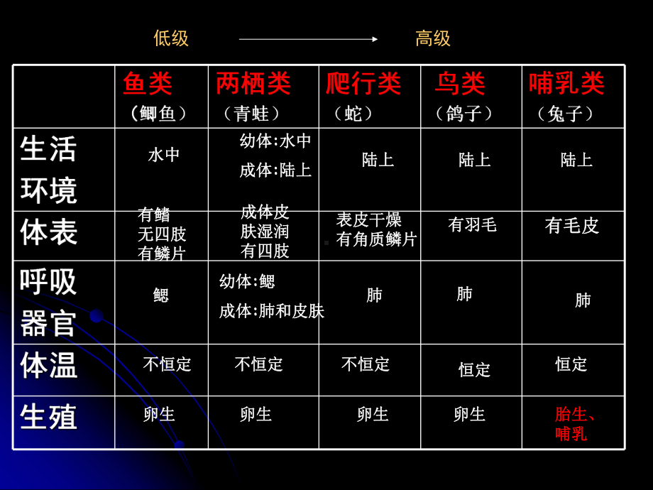 常见的动物8(浙教版)课件.ppt_第1页