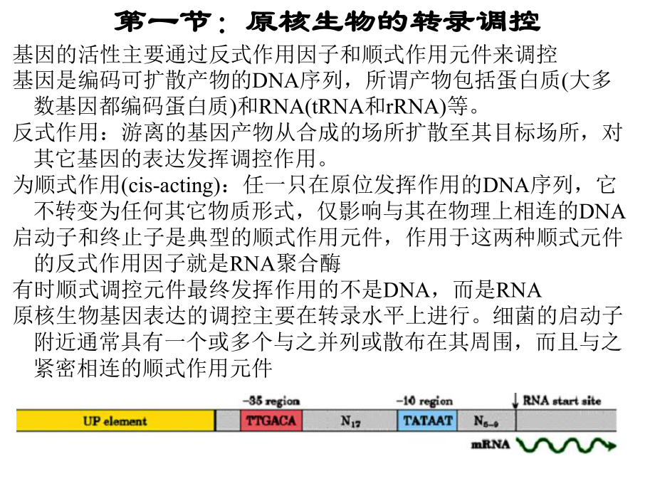 基因表达调控与分化发育[精彩课件.ppt_第2页