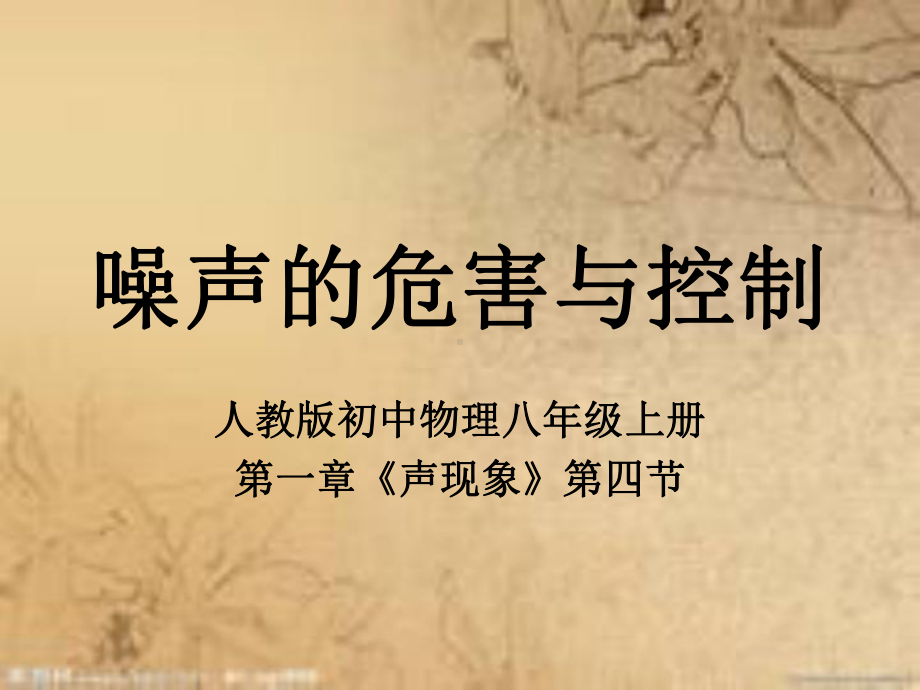 噪声说课课件.ppt_第1页