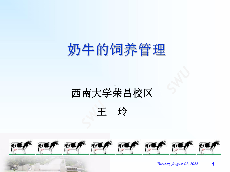 奶牛的饲养管理-动医课件.ppt_第1页