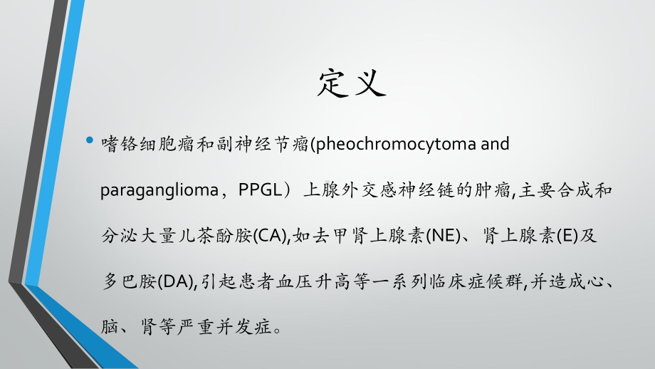 嗜铬细胞瘤和副神经节瘤课件.pptx_第2页