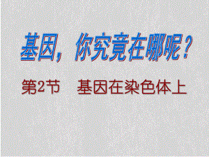 基因在染色体上课件.ppt