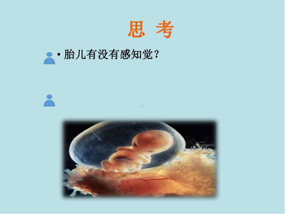 学前心理学第二节-0-6岁婴幼儿感知觉发展课件.pptx_第2页