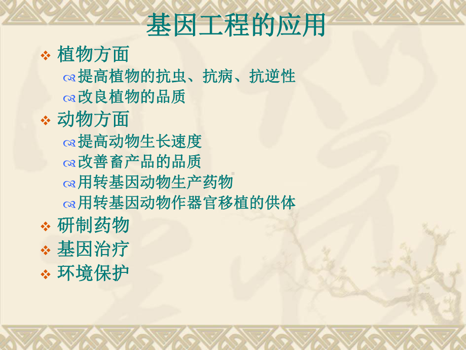 基因工程应用课件.ppt_第2页