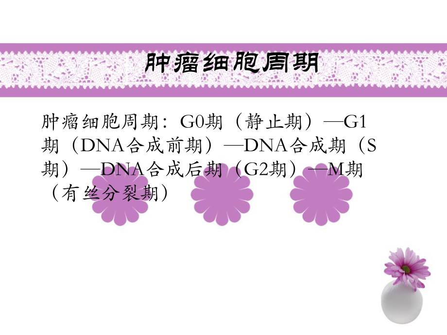 常见化疗药物顺序-精选课件.pptx_第2页