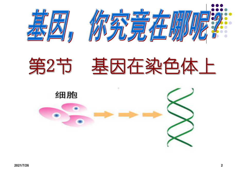 基因在染色体上(公开课)课件.ppt_第2页