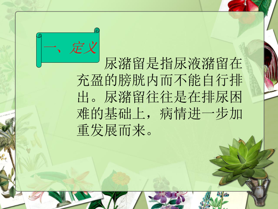 尿潴留的护理-(2)(医学PPT课件).ppt_第3页