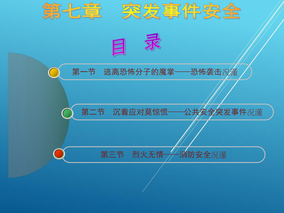 大学生安全教育第七章课件.ppt_第2页