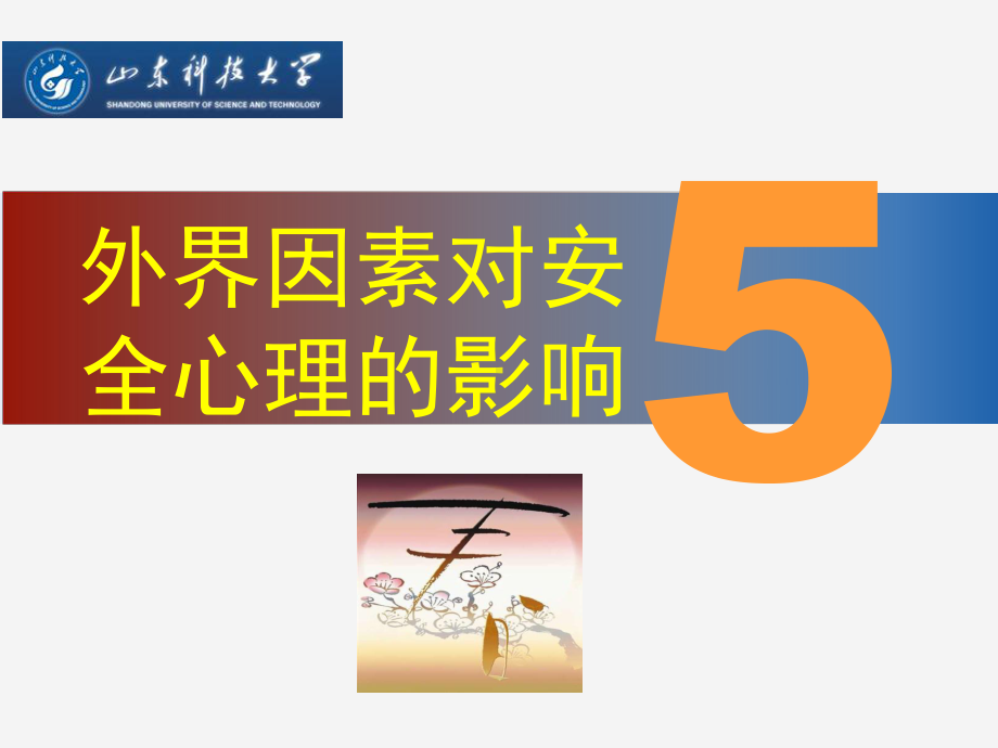 安全心理学教学ppt-课件5第5章外界因素对安全心理的影响.ppt_第2页