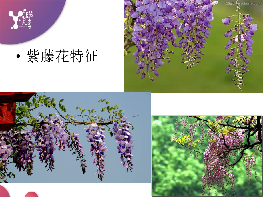 少儿艺术拓展学段国画班课件.ppt_第3页