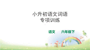 小升初总复习课件-词语(近义词、多义词等-)专项训练-全国通用-(共18张PPT).pptx