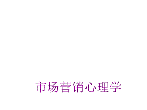 市场营销心理学第十一章课件.ppt