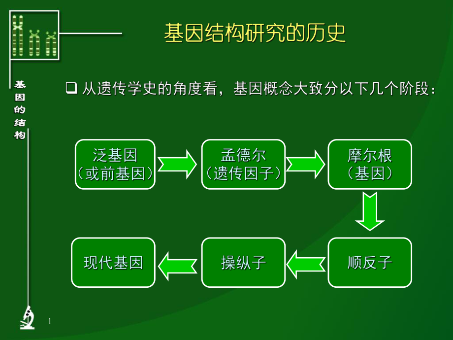 基因的结构(2)全面版课件.ppt_第1页