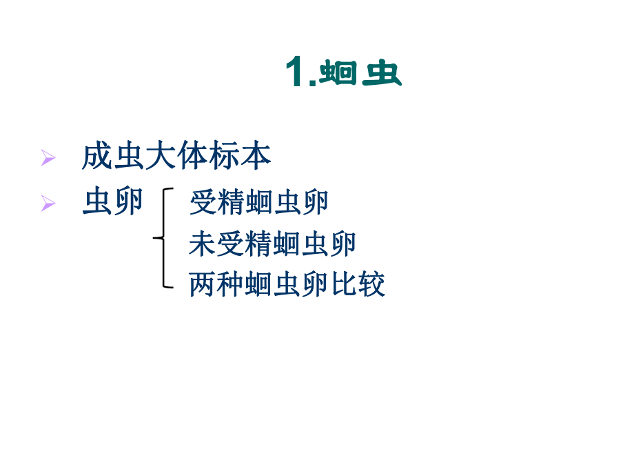 寄生虫学实验课件.ppt_第3页