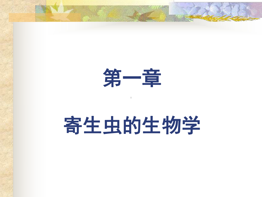 寄生虫病的临床表现课件.ppt_第2页