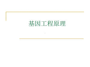 基因工程原理课件.ppt