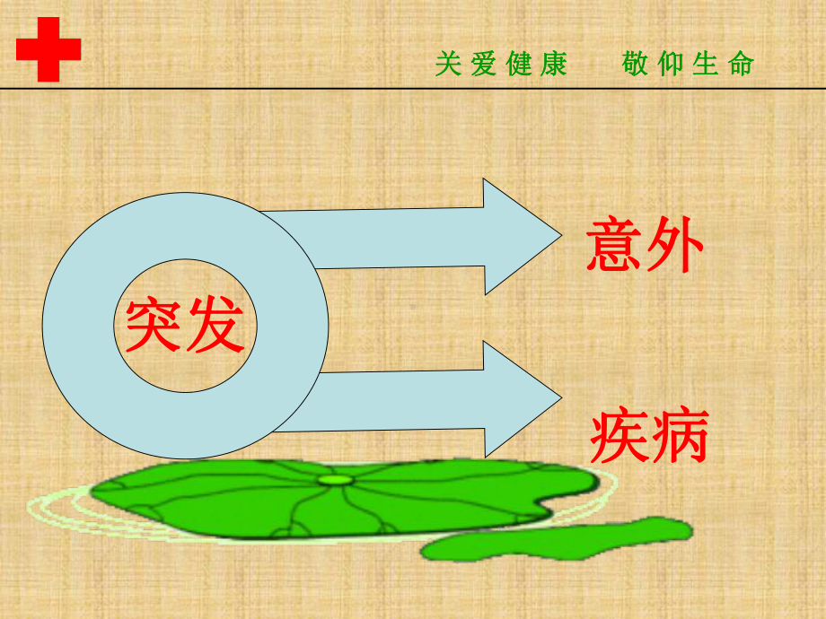 学校急救知识培训PPT精编版课件.ppt_第3页