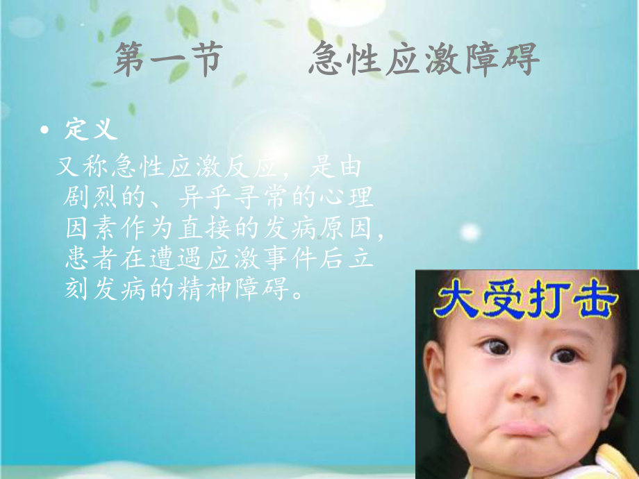 应激障碍课件.ppt_第2页