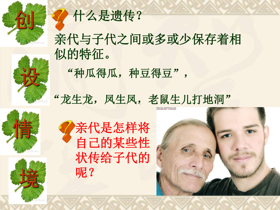 孟德尔的豌豆杂交实验一课件.ppt_第2页