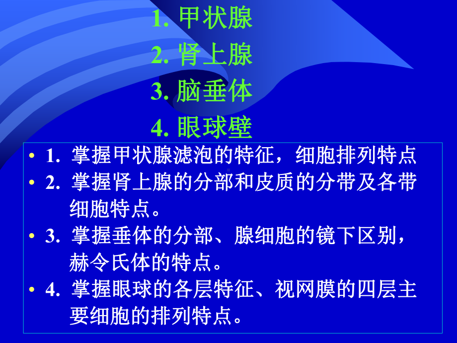 实验6-内分泌系统和眼球-组织学与胚胎学实验课件.ppt_第2页