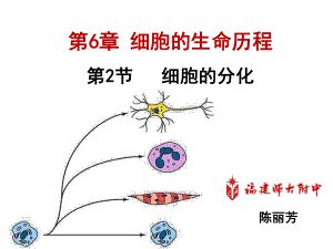 在形态结构和生理功能上发生稳定性差异的过程课件.ppt