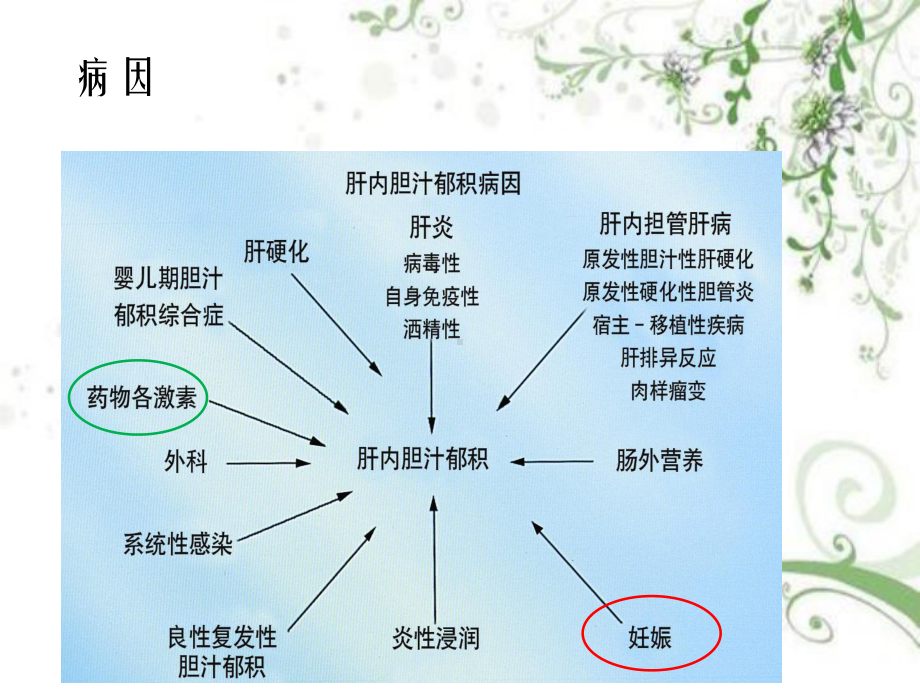 妊娠期肝内胆汁淤积症幻灯片PPT课件.ppt_第3页