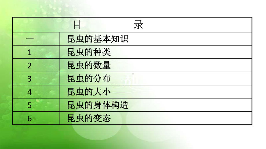 多彩的昆虫世界PPT精品课程课件全册课件汇总.ppt_第2页