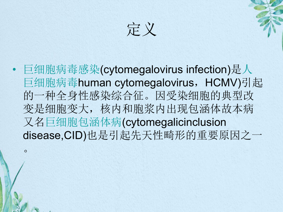 新生儿巨细胞病毒感染课件.ppt_第3页