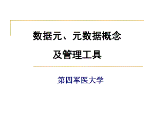 数据元、元数据概念及管理工具课件.ppt