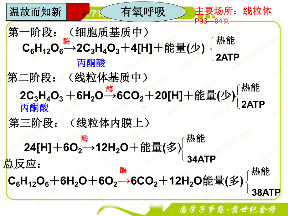 影响细胞呼吸的因素讲课课件.ppt_第2页