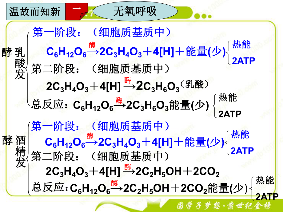 影响细胞呼吸的因素讲课课件.ppt_第3页