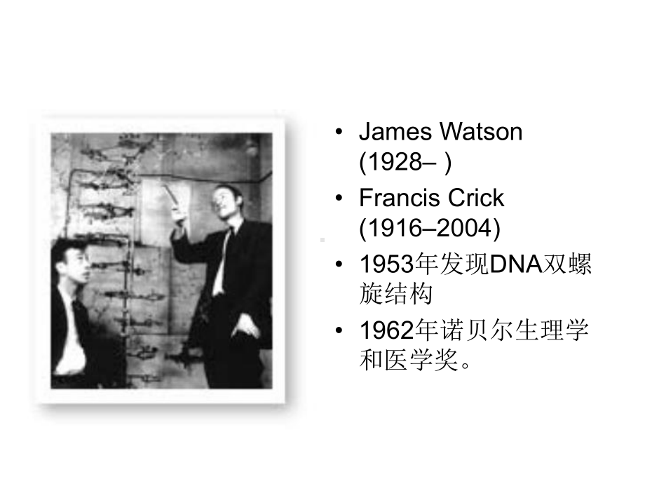 拓扑异构酶Ⅱ切断DNA分子两股链-生物化学与分子生物学课件.ppt_第3页