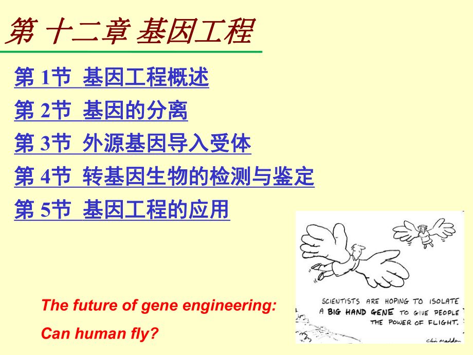 普通遗传学第十二章-基因工程课件.ppt_第1页