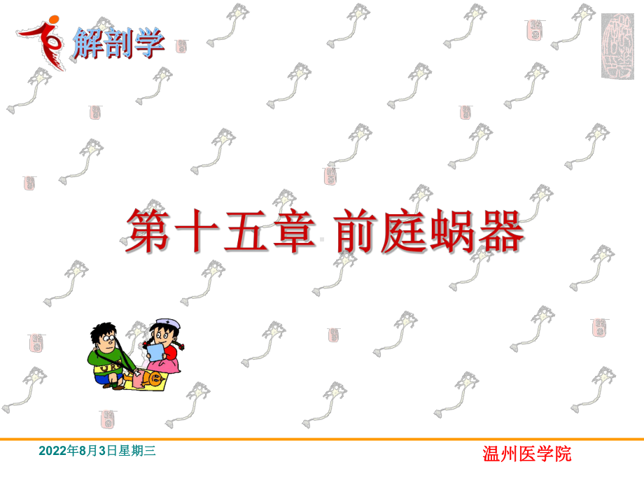 感觉前庭蜗器系统解剖学课件.ppt_第1页